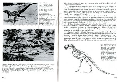 datování fosilií dinosaurů seznamka pravidla kluci následovat